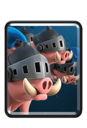 Cochons royaux