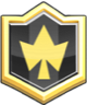Blason Black Star✨